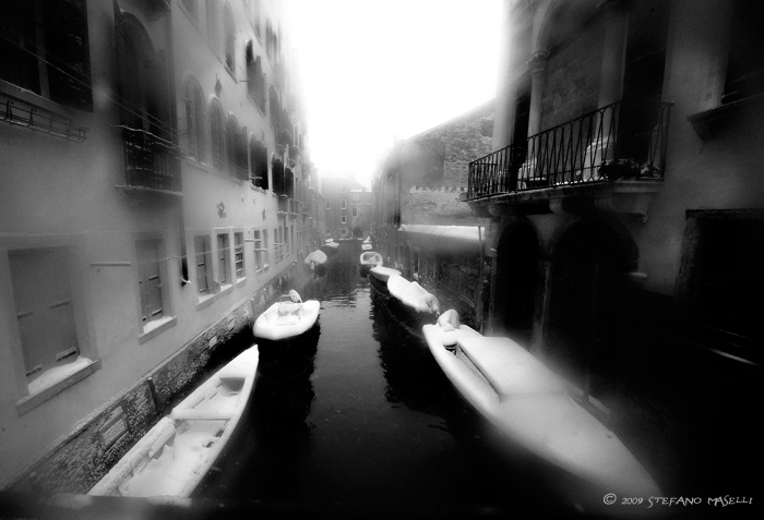 Copyright Stefano Maselli